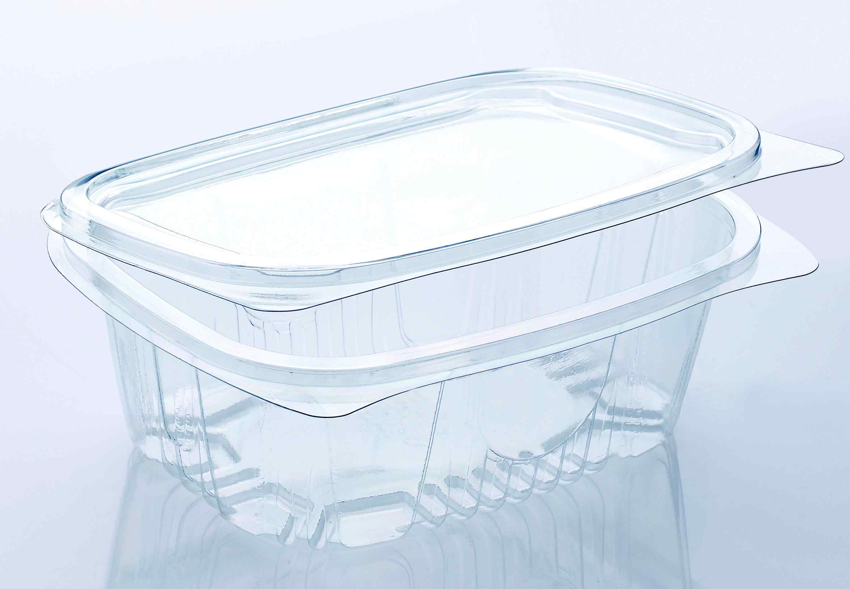Clear Hinged Salad Container 750cc (1x300)