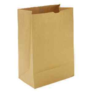 Paper Bag 12.5 x 12.5 (500)