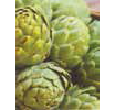 Artichokes (12 x 390 g)