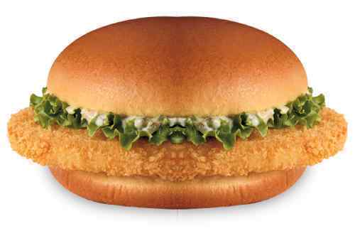 SMALL Paragon Basic Halal Burger (48 x 56g)