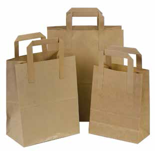 Brown Paper Bag Large with Handle  (1 x 250 )